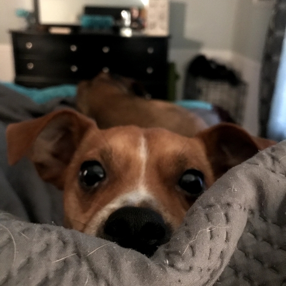 Welcome to my closet! - Picture 7 of 8